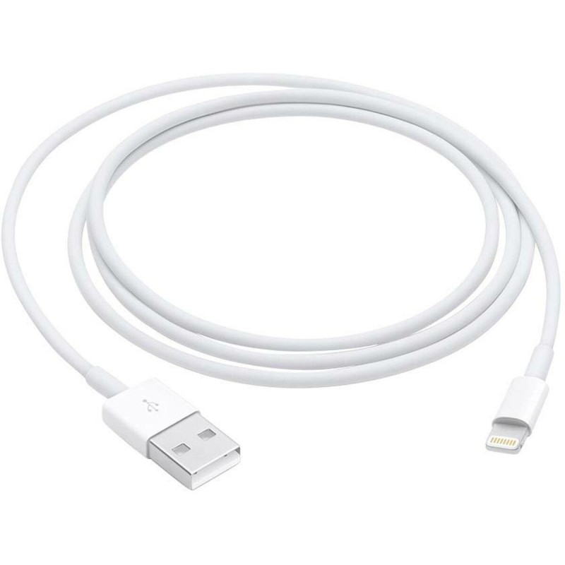 Câble USB vers Lightning Apple Blanc 1 m