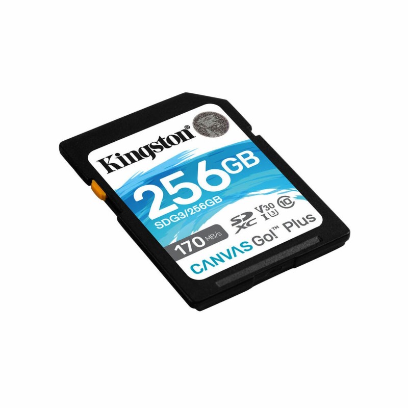 Carte Mémoire SD Kingston SDG3/256GB 256GB 256 GB