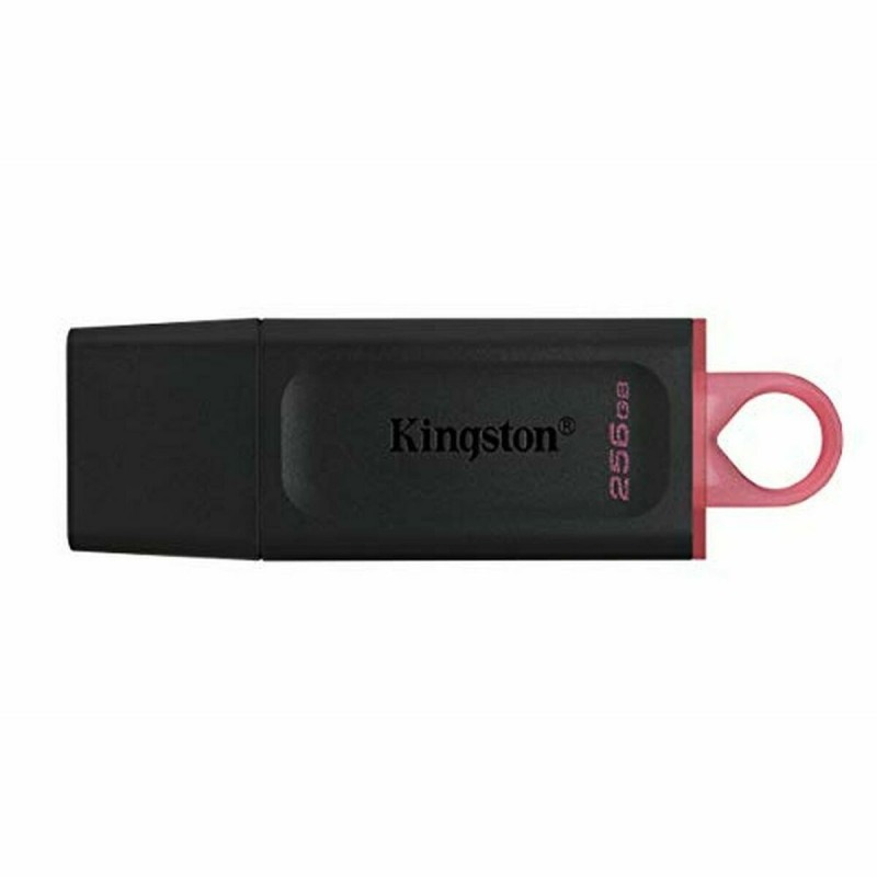 Clé USB Kingston DataTraveler Exodia Rose Noir 256 GB