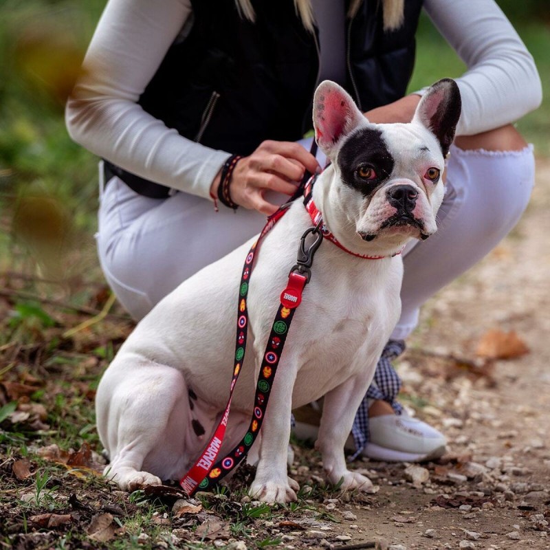 Laisse pour Chien Marvel