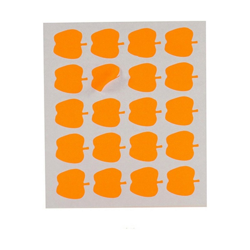 Étiquettes adhésives Pincello 1711090 22 x 49 mm Pomme (12 Unités)