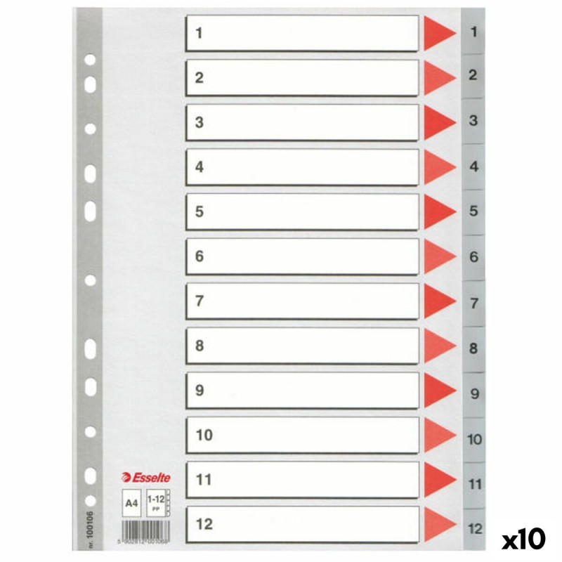 Séparateurs Esselte Numéroté Gris A4 12 Volets (10 Unités)