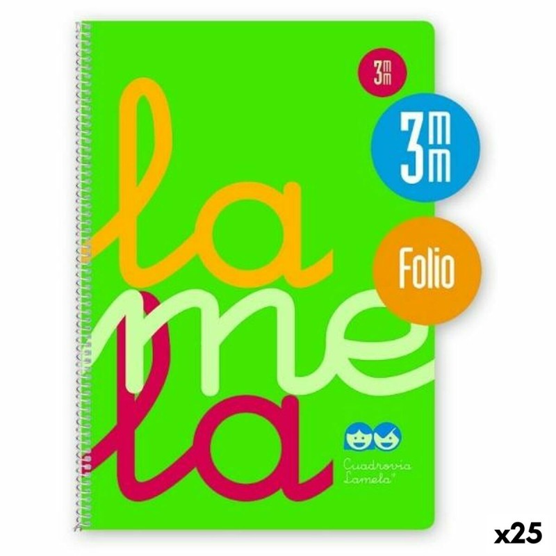 Cahier Lamela Cuadrovía Vert Fluorescent Din A4 80 Volets 21