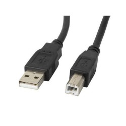 Câble USB A vers USB B Lanberg Imprimante (1