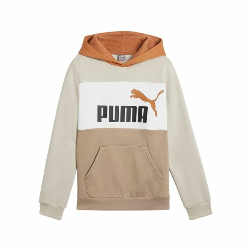 Sweat à capuche enfant Puma Essentials Block Marron