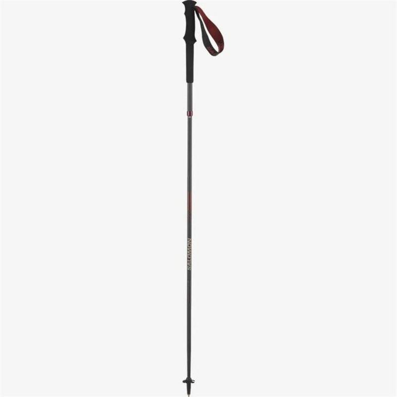 Jeu de 2 bâtons de trekking Salomon Quest Carbon Foldable Noir 120 cm