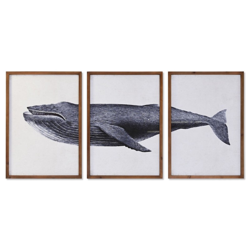 Jeu de 3 tableaux DKD Home Decor 150 x 2 x 70 cm Baleine