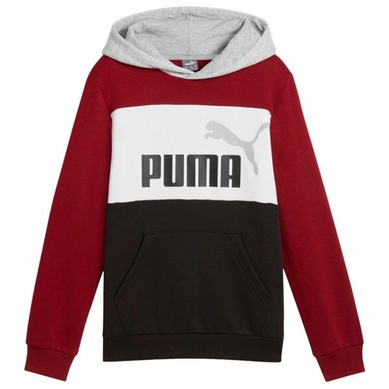 Sweat à capuche enfant Puma Essentials Block